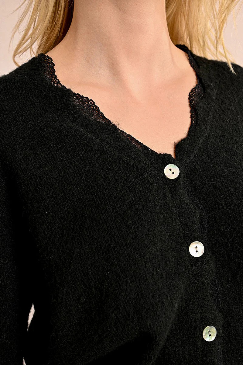 Molly Cardi