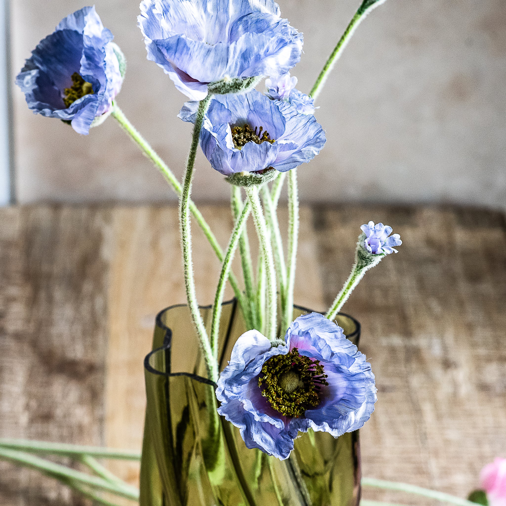 Poppy Flower Stems