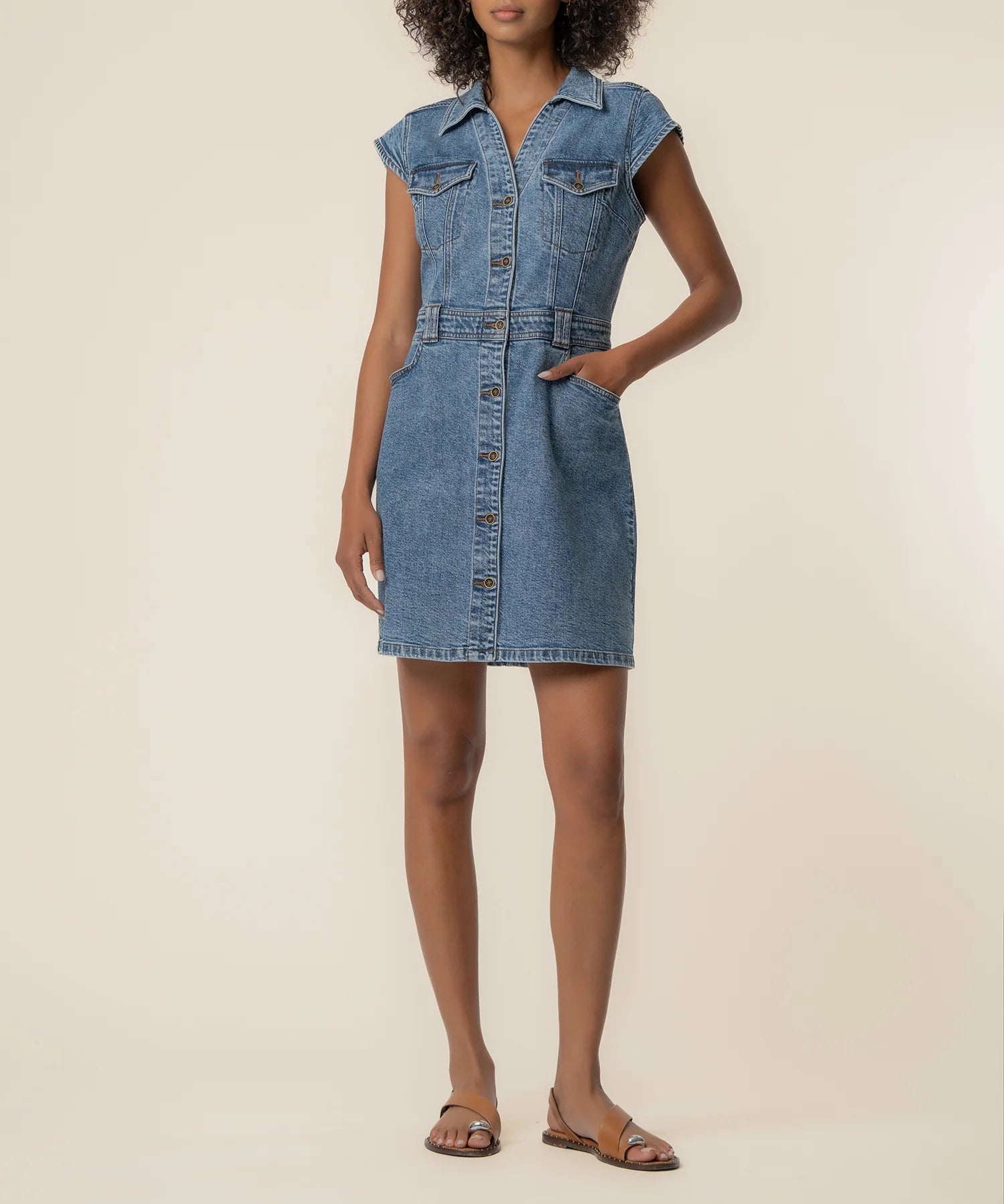 KUT Ruth Denim Dress