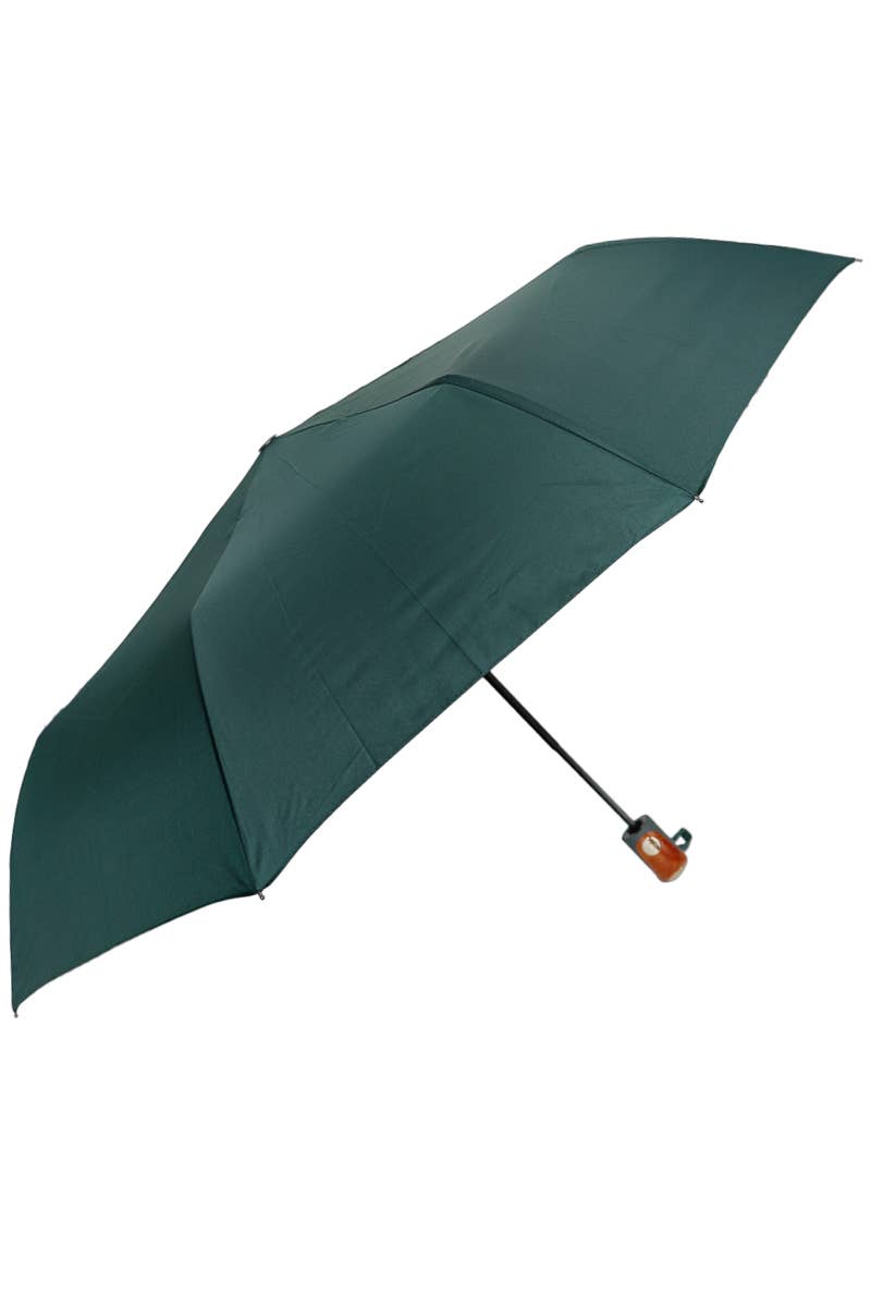Auto Open-fold Compact Umbrella