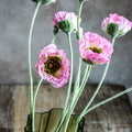 Poppy Flower Stems